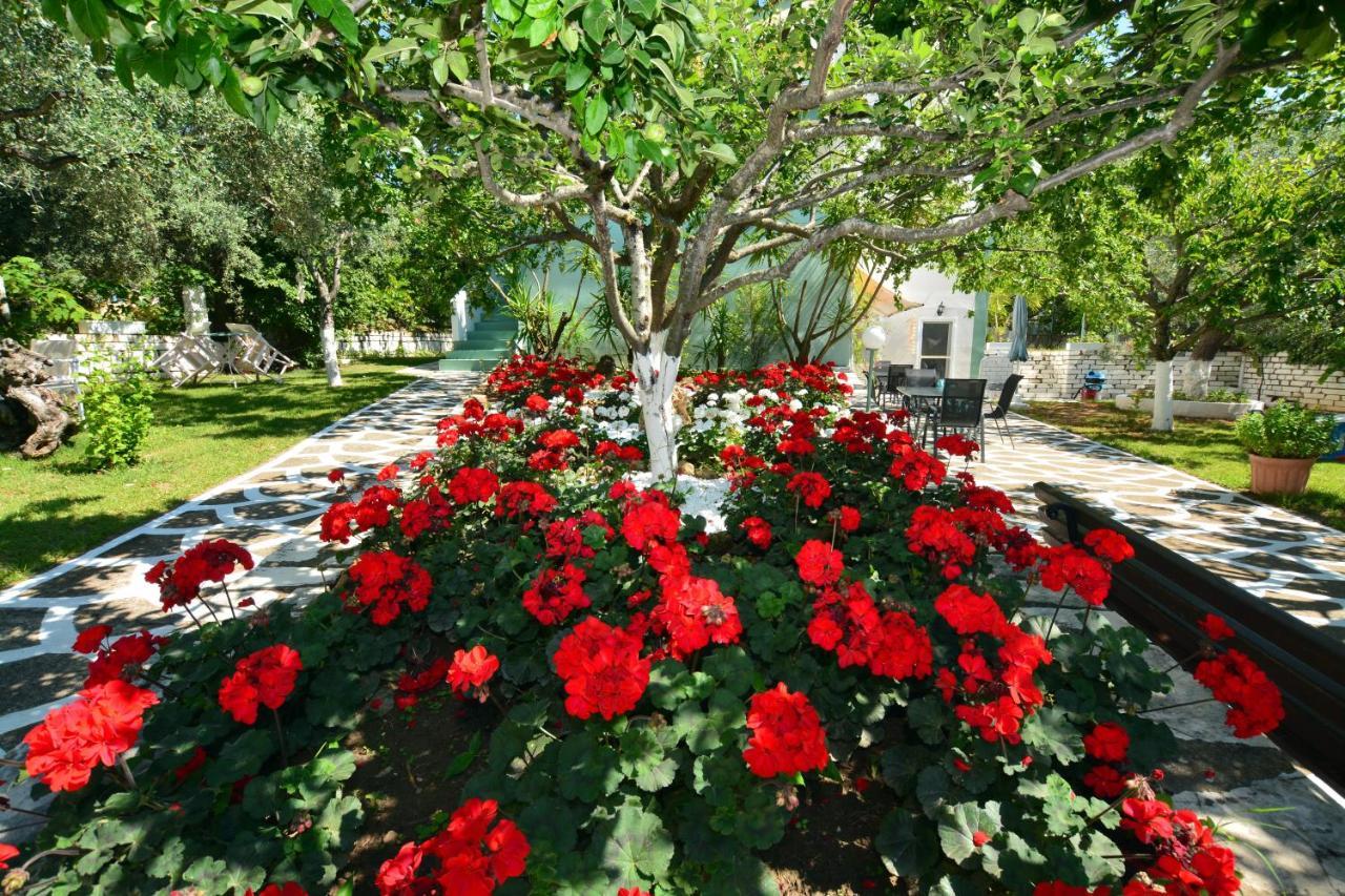 Villa Emilia Páhisz Kültér fotó